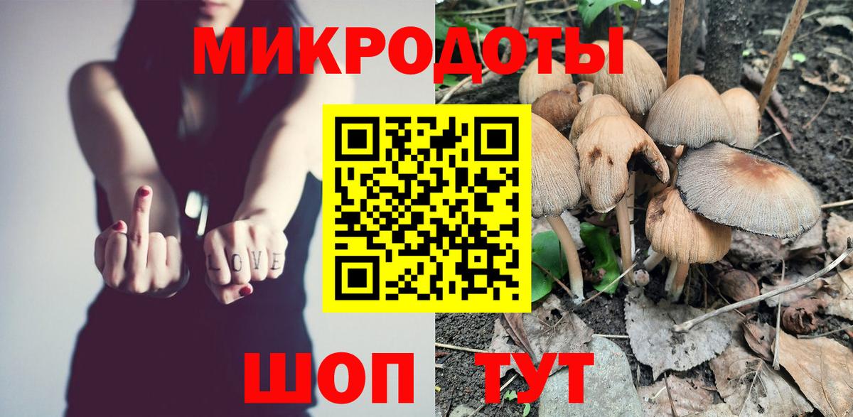 Феодосия  Псилоцибиновые грибы Psilocybe  Псилоцибиновые грибы прущие грибы  Вход с VPN 